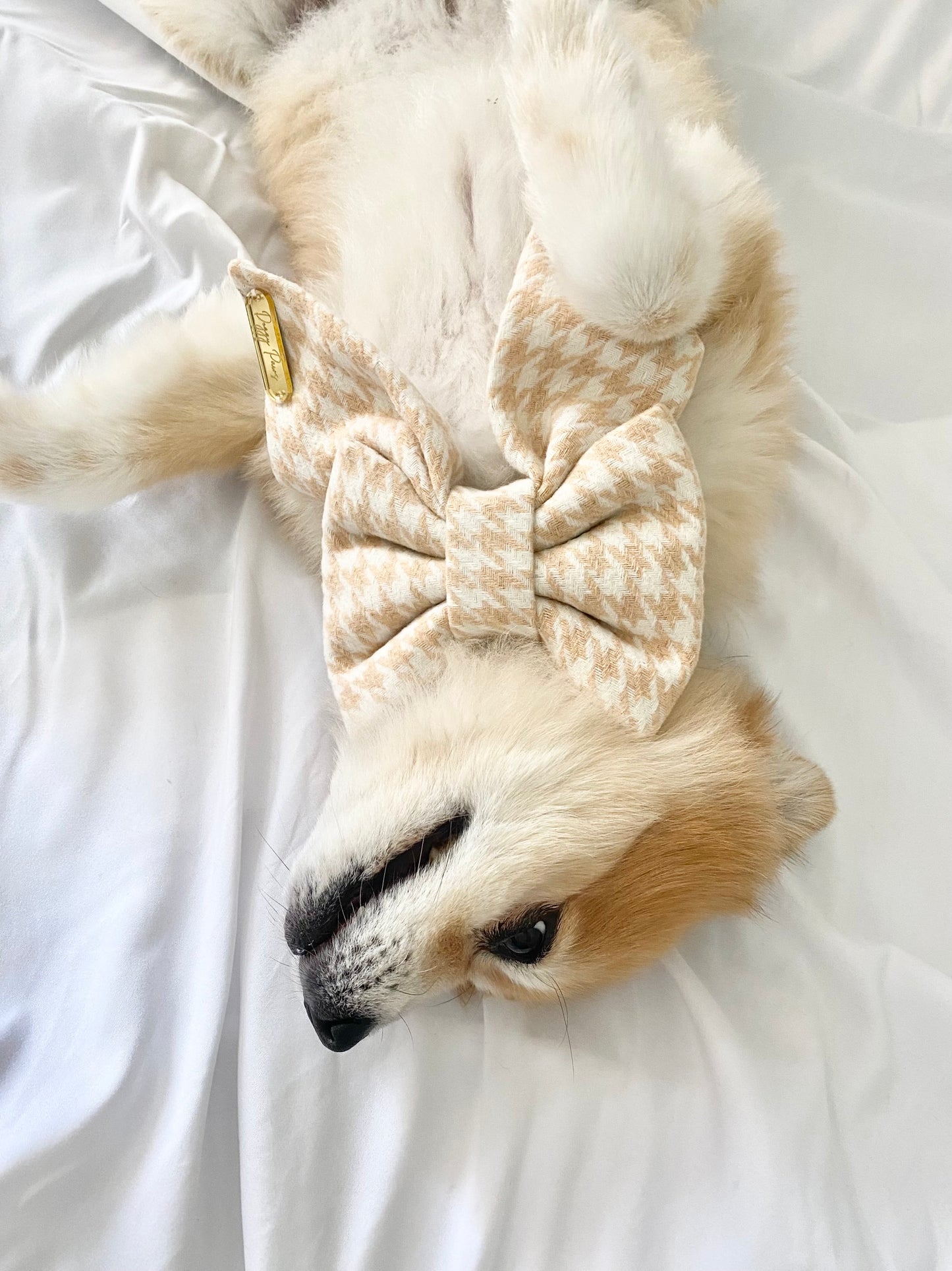 Sailor Bow