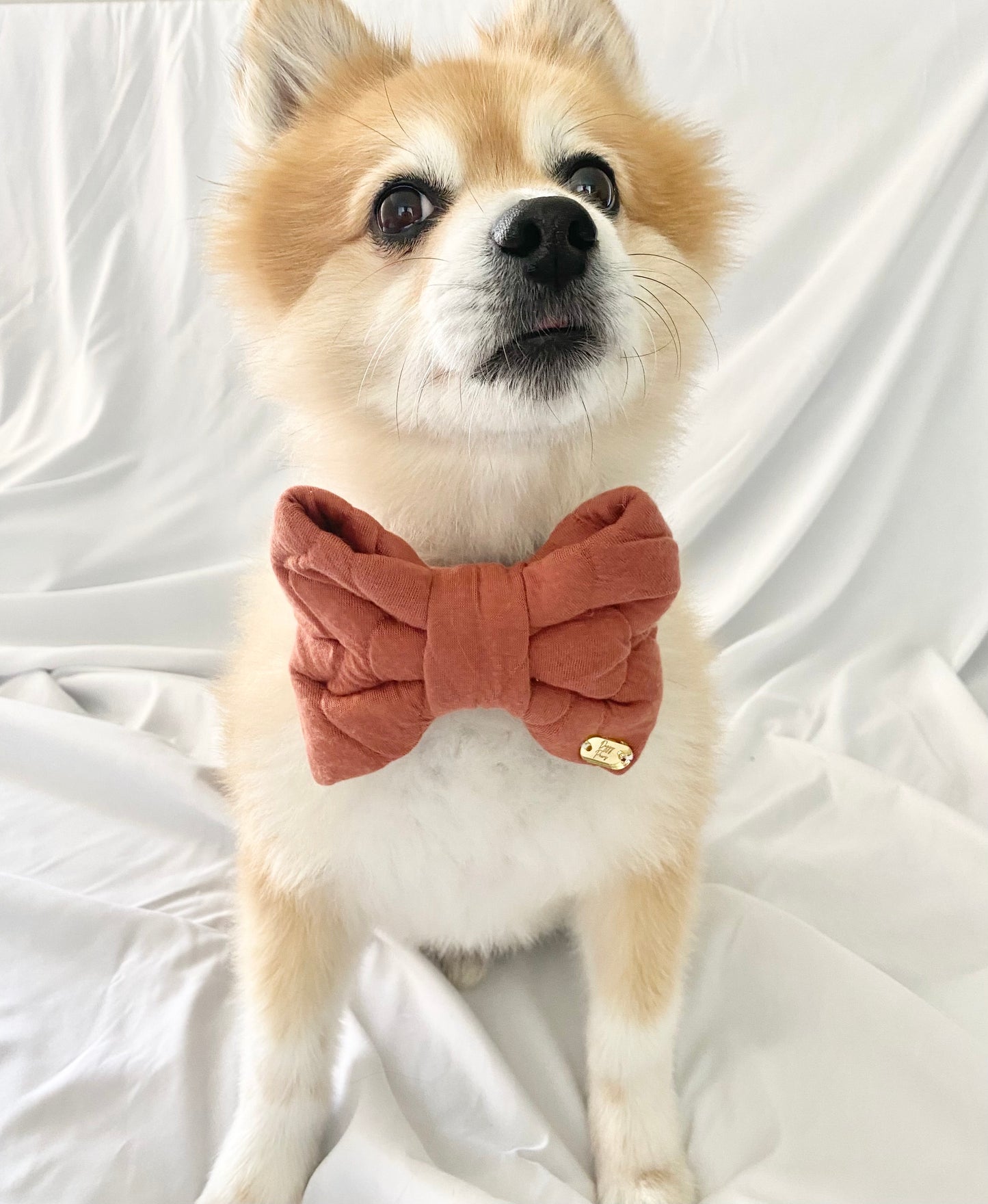 Bow Tie