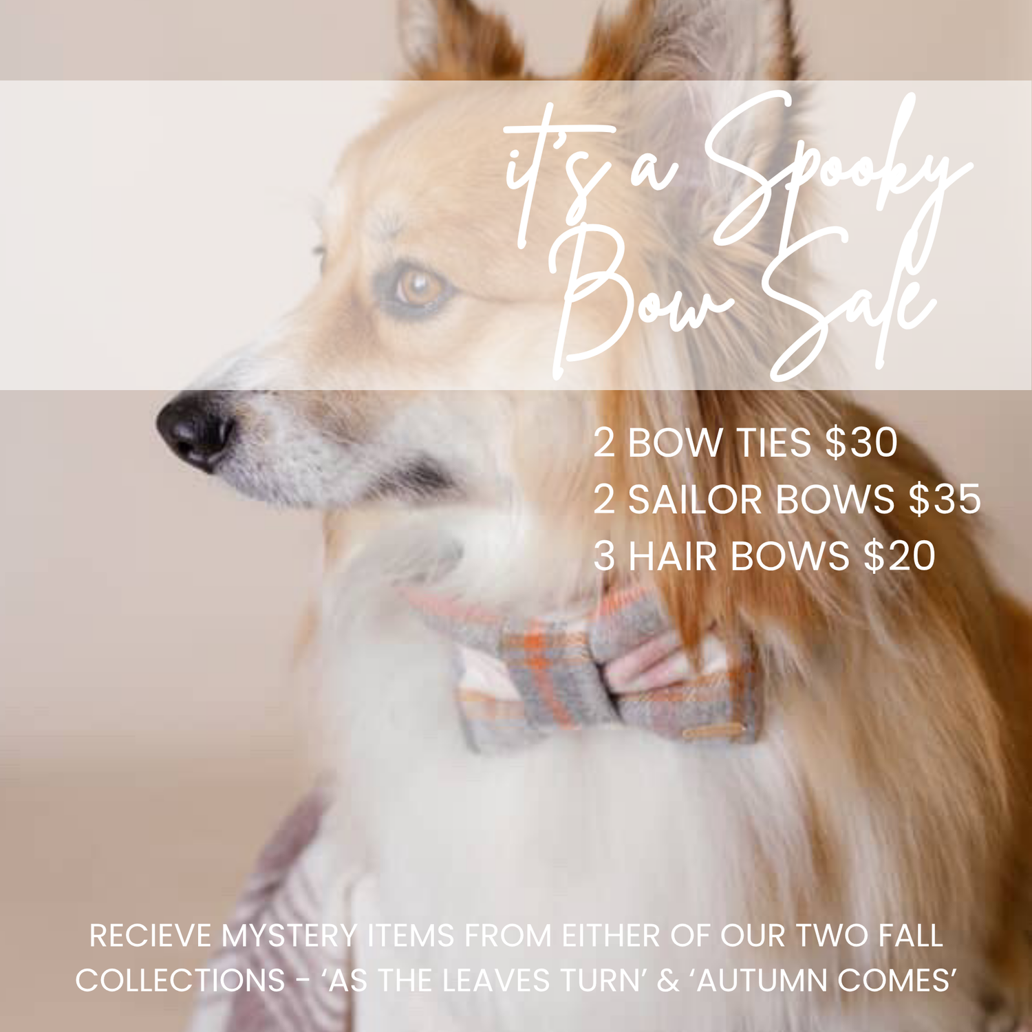 Spooky Bow SALE!