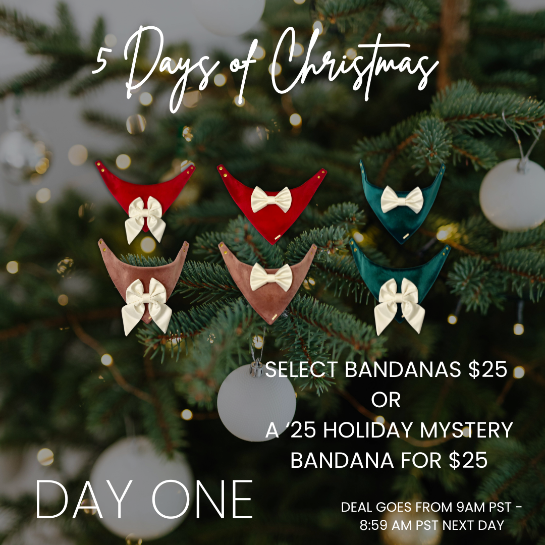 SELECT BANDANAS $25  - ONE DAY ONLY! - DISCOUNT IN CART