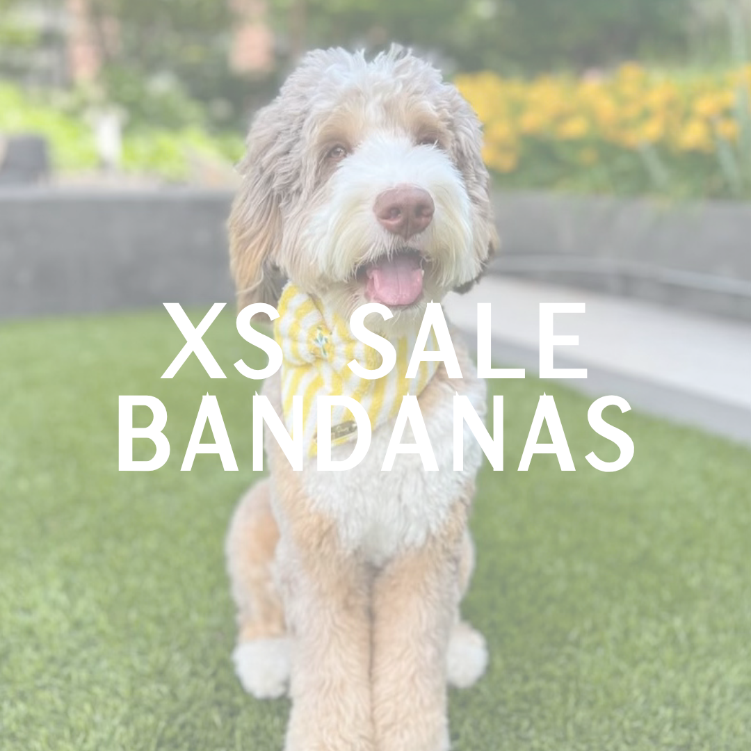 XS Sale Bandana