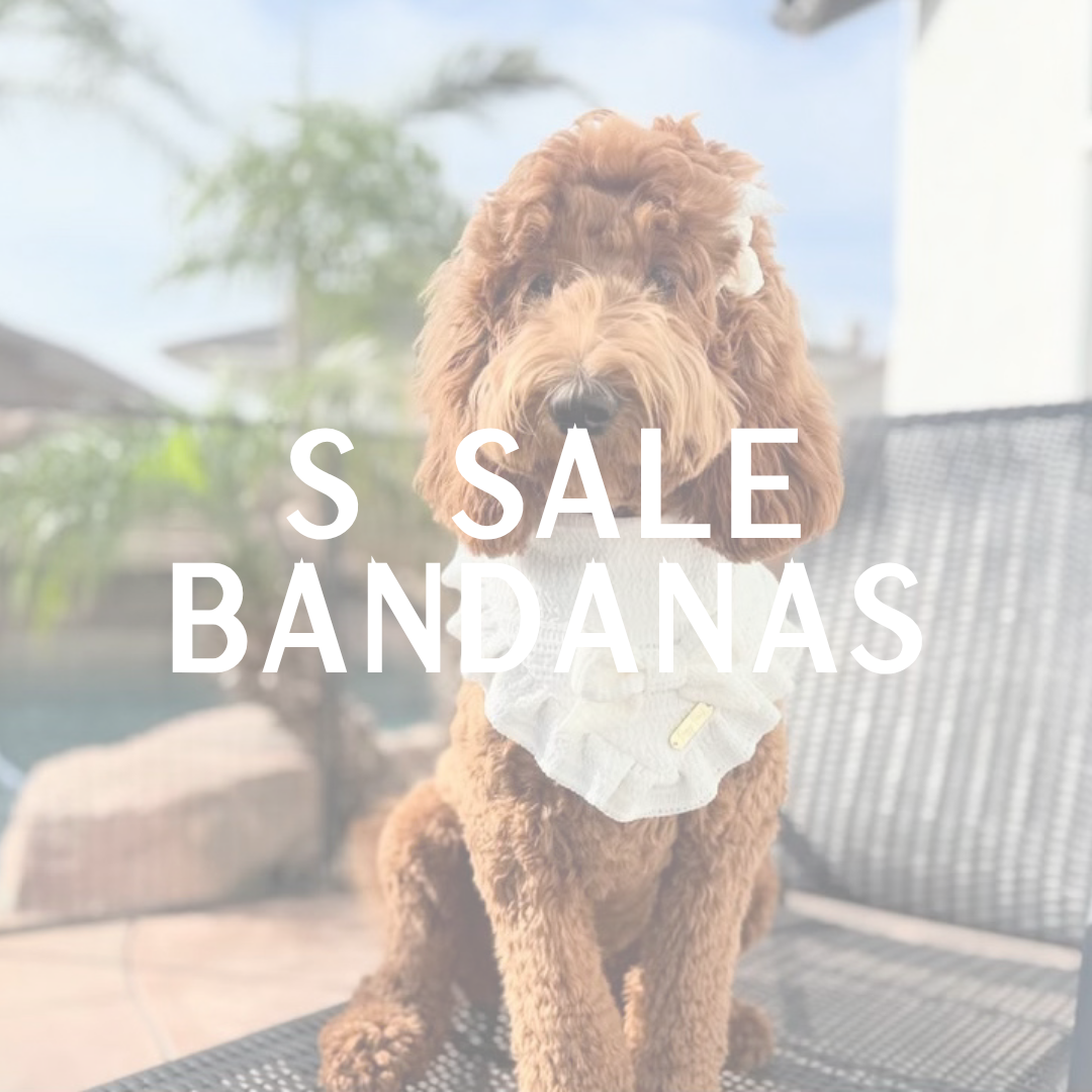 S Sale Bandana