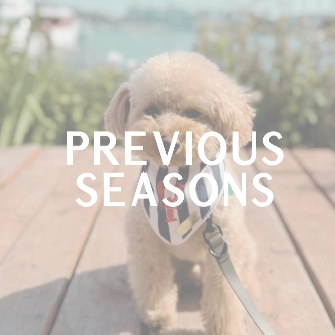 Previous Seasons - 25% OFF