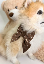 BOW TIE & SAILOR BOW | CHOCOLATE POLKA DOT