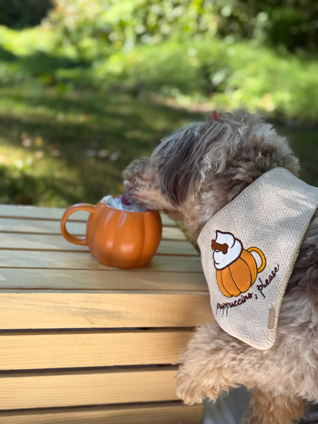 BANDANA | PUPPUCCINO, PLEASE
