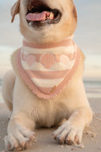 BANDANA | SEASIDE BLUSH