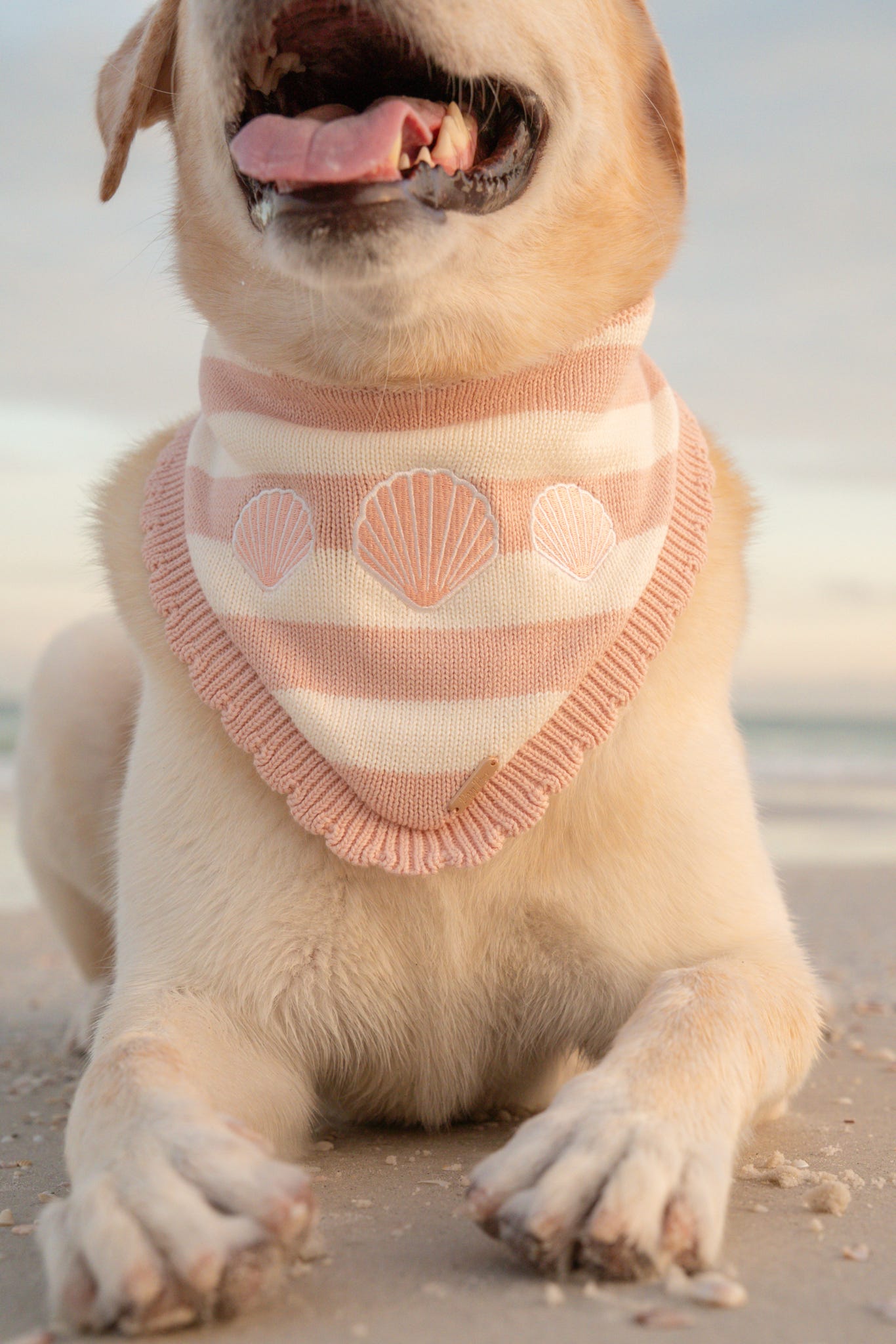 BANDANA | SEASIDE BLUSH