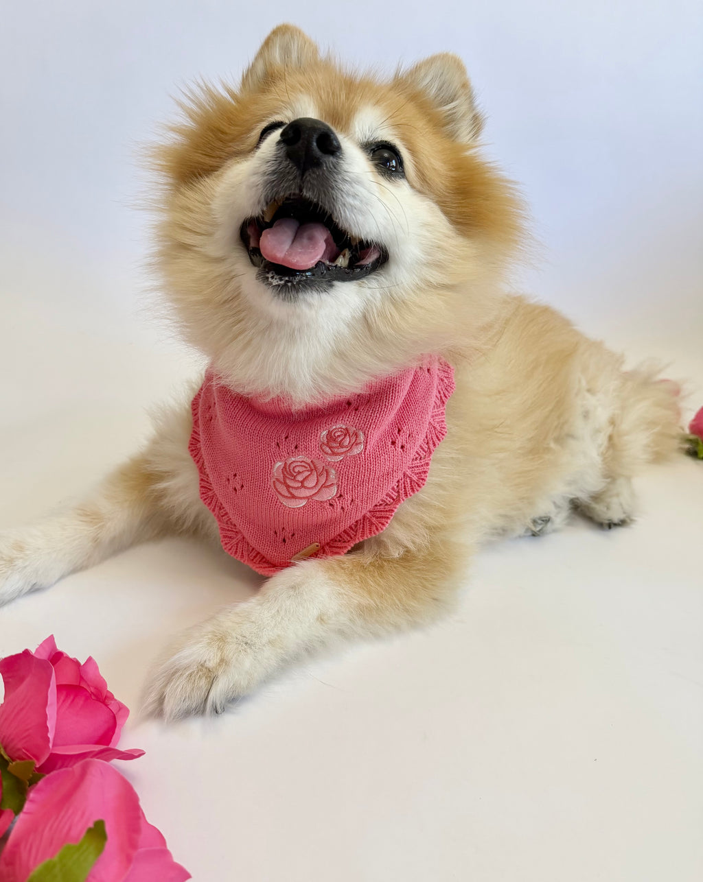 BANDANA | ROSIE