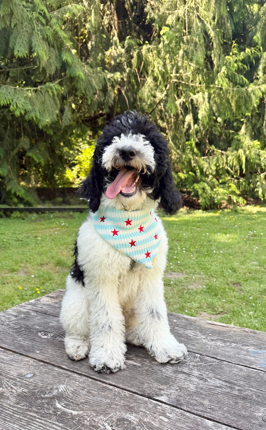 BANDANA | STARS & STRIPES