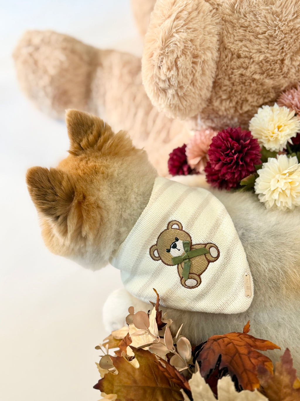 BANDANA | TEDDY