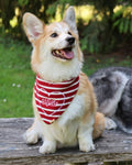 BANDANA | AMERICANA
