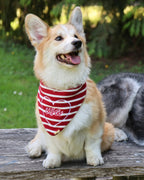 BANDANA | AMERICANA