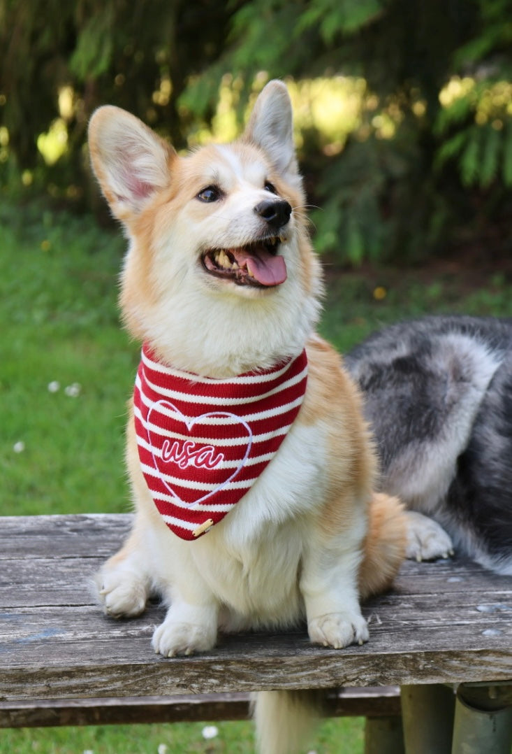 BANDANA | AMERICANA