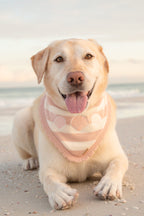 BANDANA | SEASIDE BLUSH