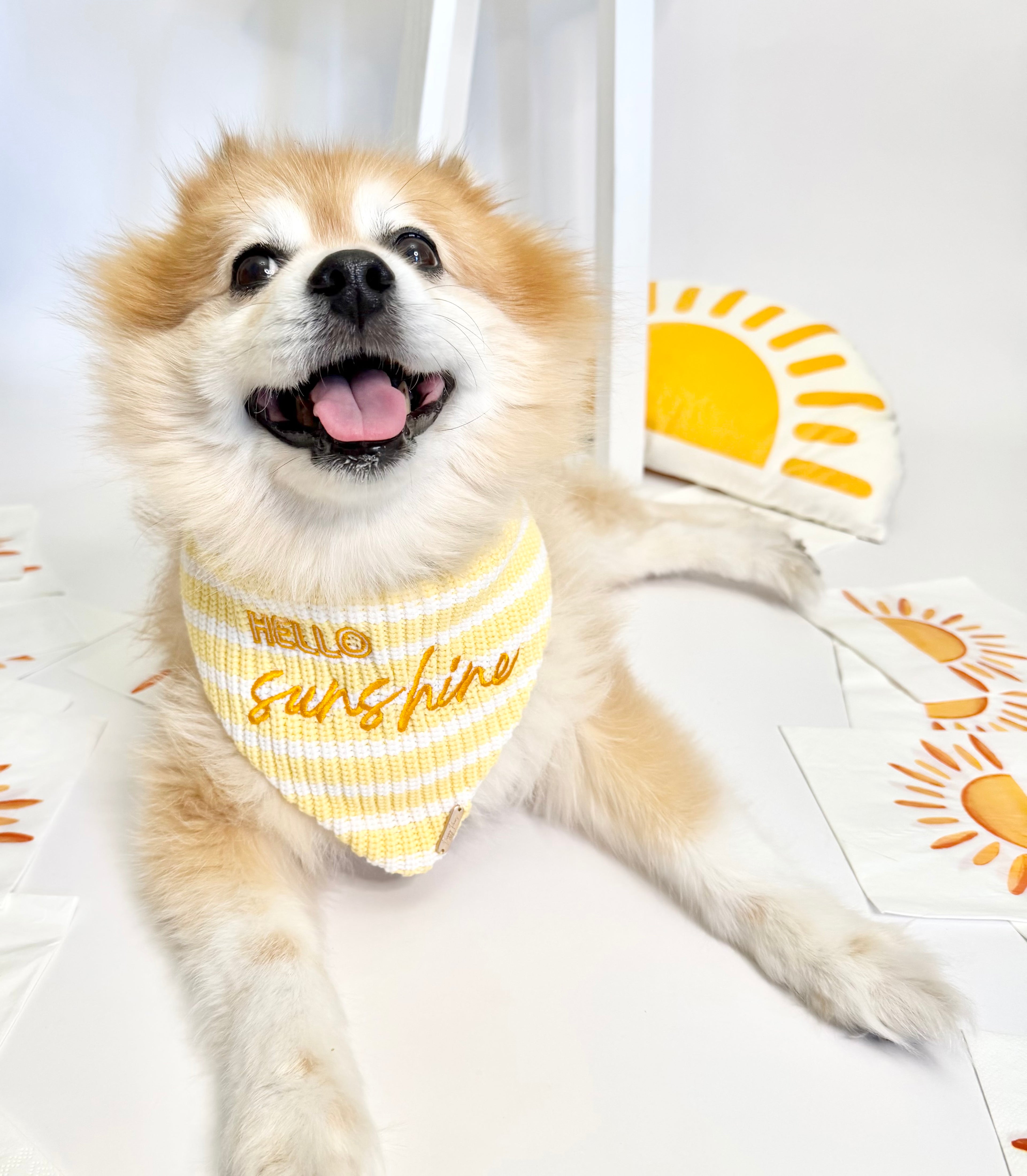 BANDANA | HELLO SUNSHINE