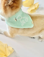 BANDANA | HARLOW