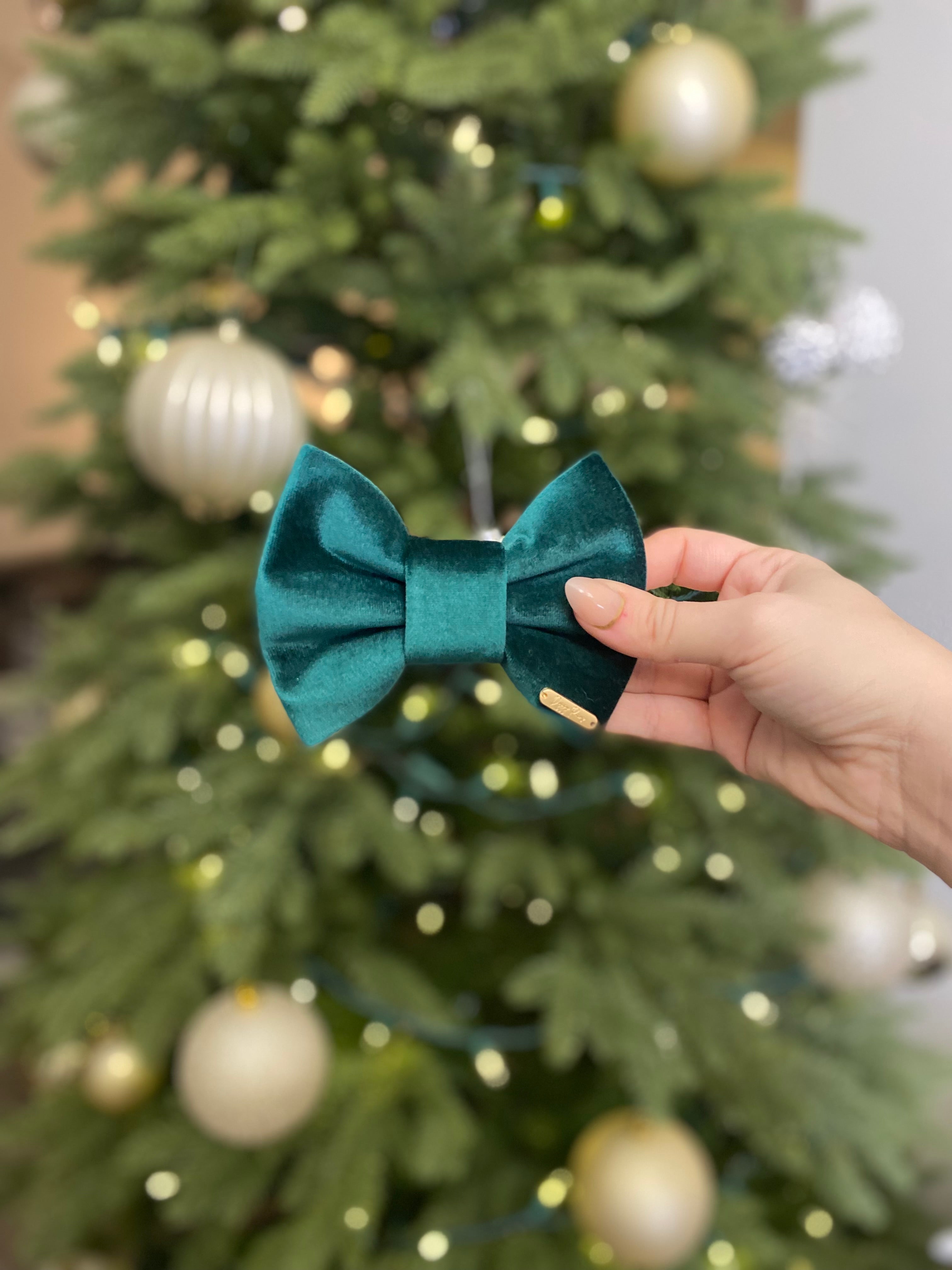 BOW TIE & SAILOR BOW | BF EXCLUSIVE