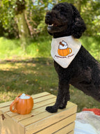 BANDANA | PUPPUCCINO, PLEASE