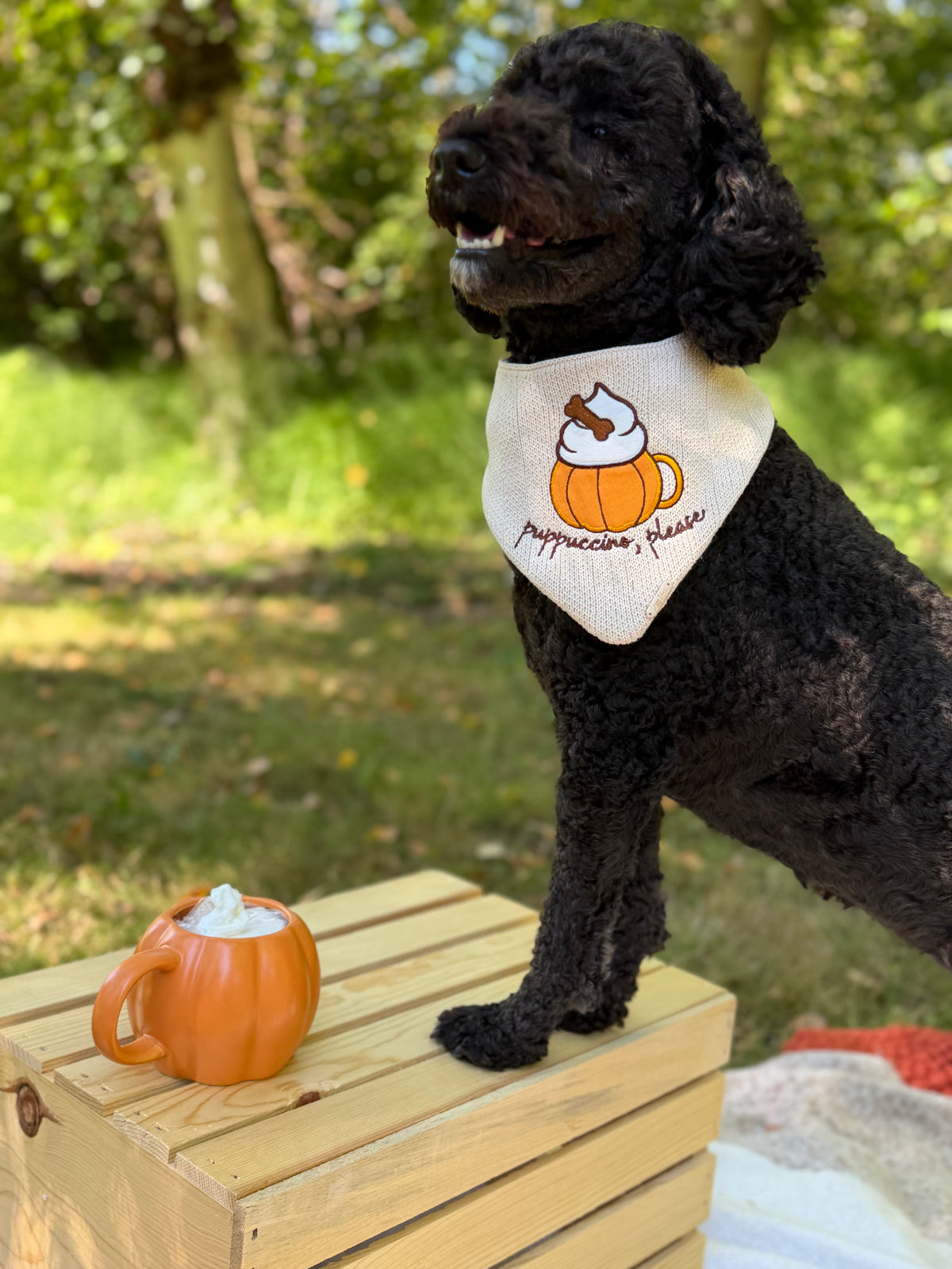 BANDANA | PUPPUCCINO, PLEASE