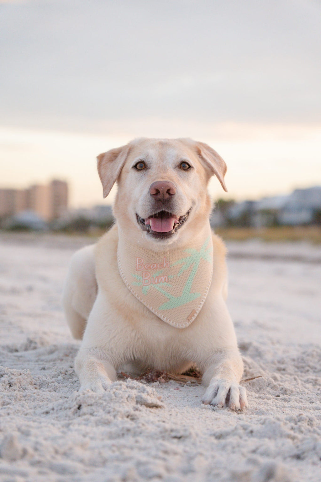 BANDANA | BEACH BUM