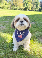 BANDANA | RED, WHITE & BLUE