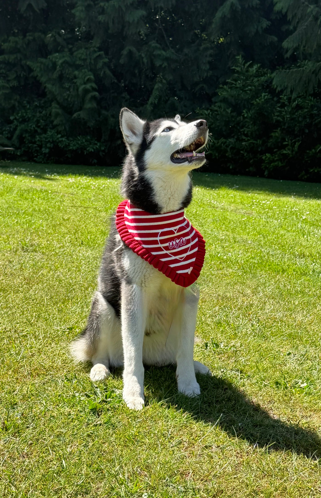 BANDANA | AMERICANA WITH RUFFLE