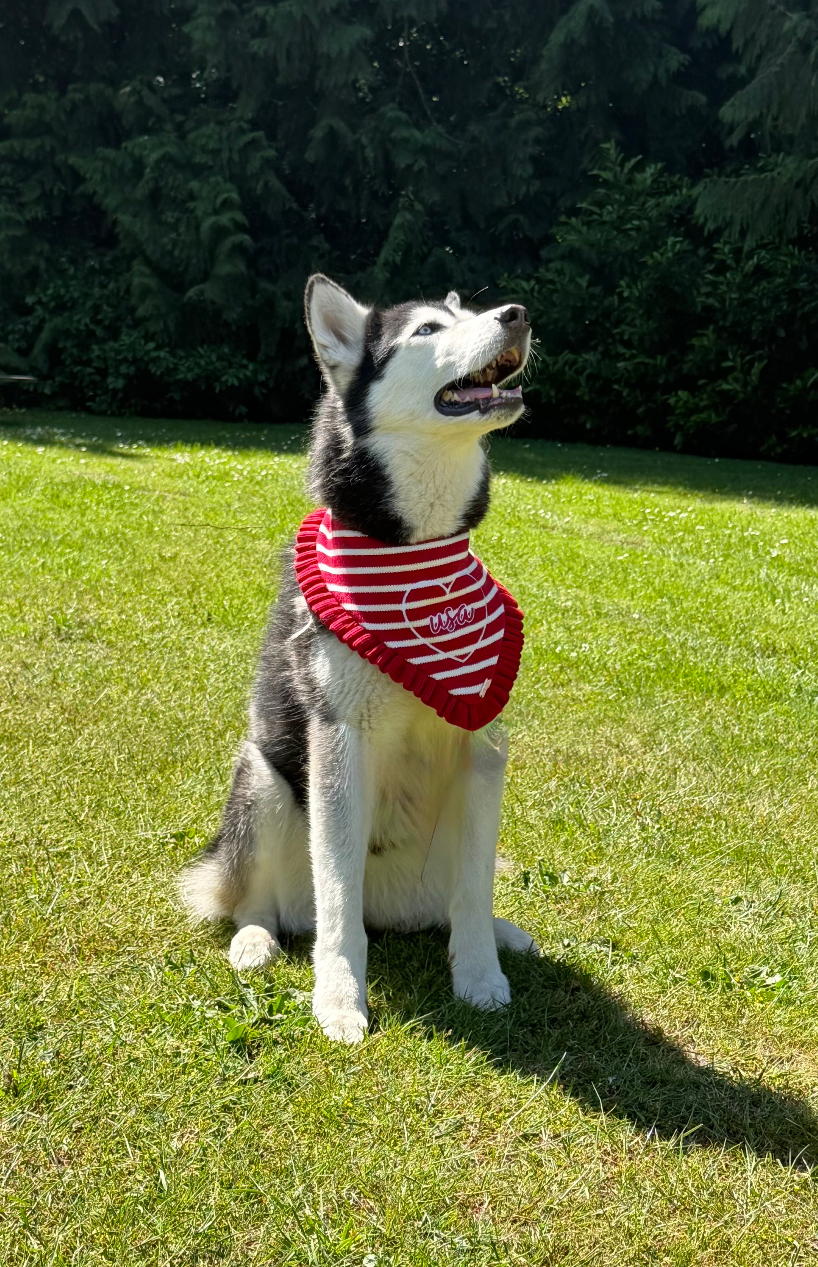BANDANA | AMERICANA WITH RUFFLE