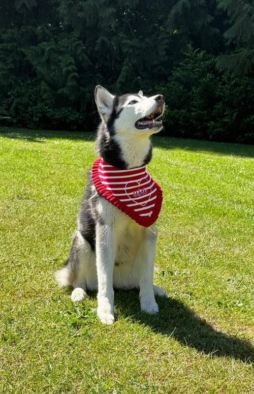 BANDANA | AMERICANA WITH RUFFLE