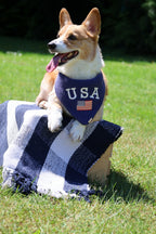 BANDANA | RED, WHITE & BLUE