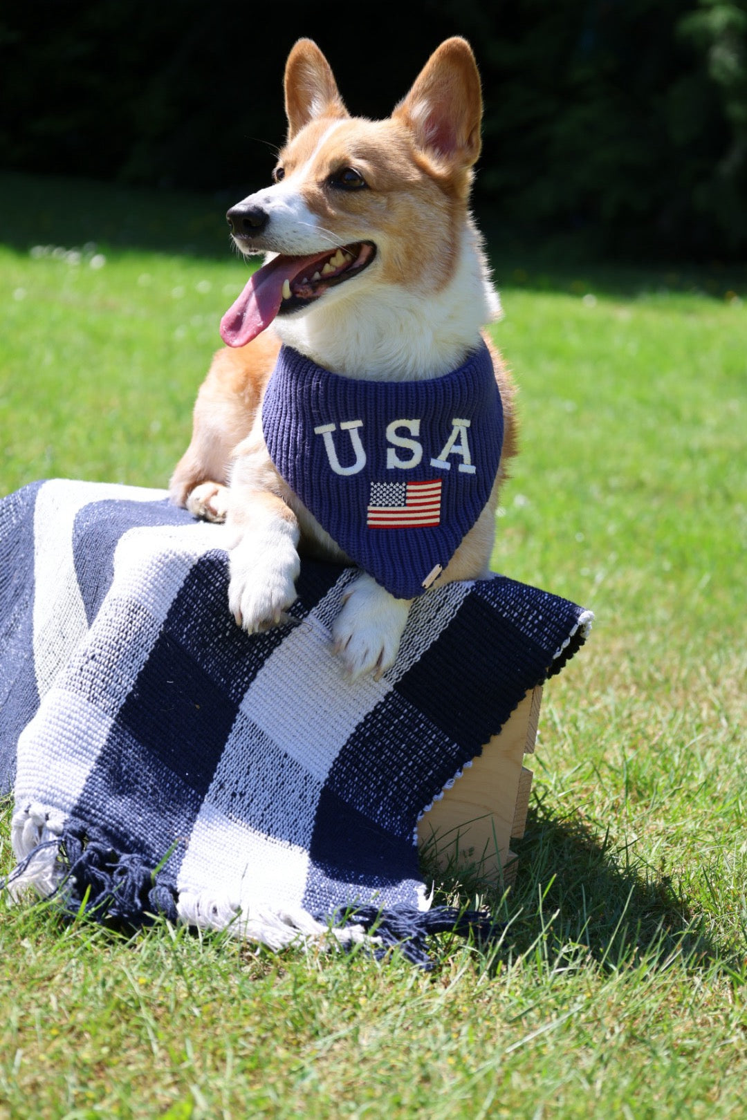 BANDANA | RED, WHITE & BLUE