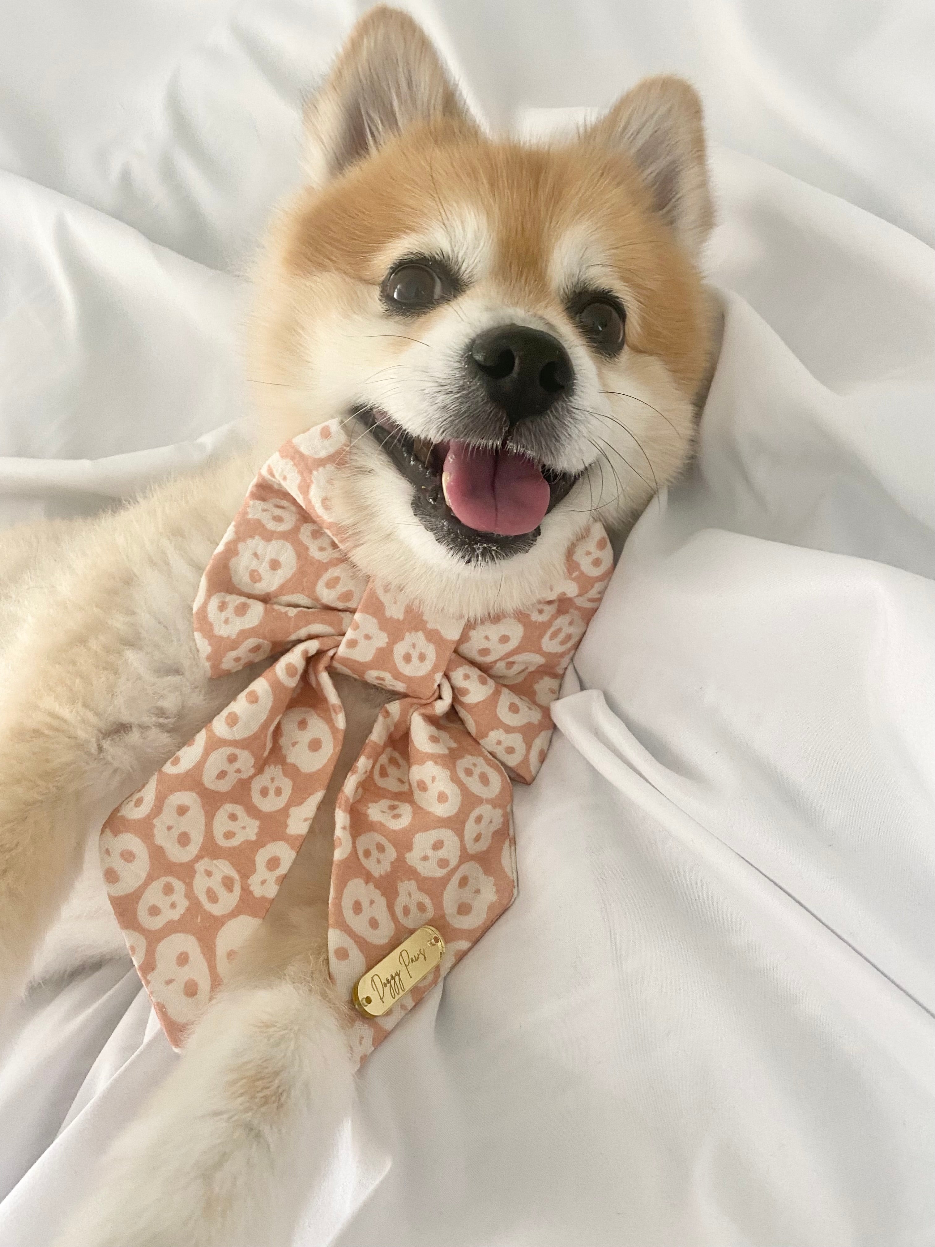 Cute to the Bone Sailor Bow/Bow Tie