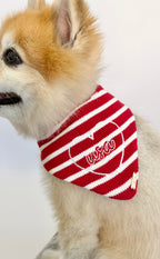BANDANA | AMERICANA
