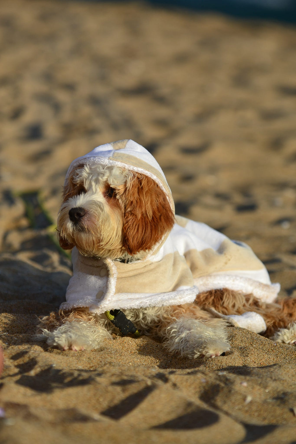 DRYING ROBE | NEUTRAL/WHITE STRIPE