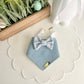 Peter Rabbit