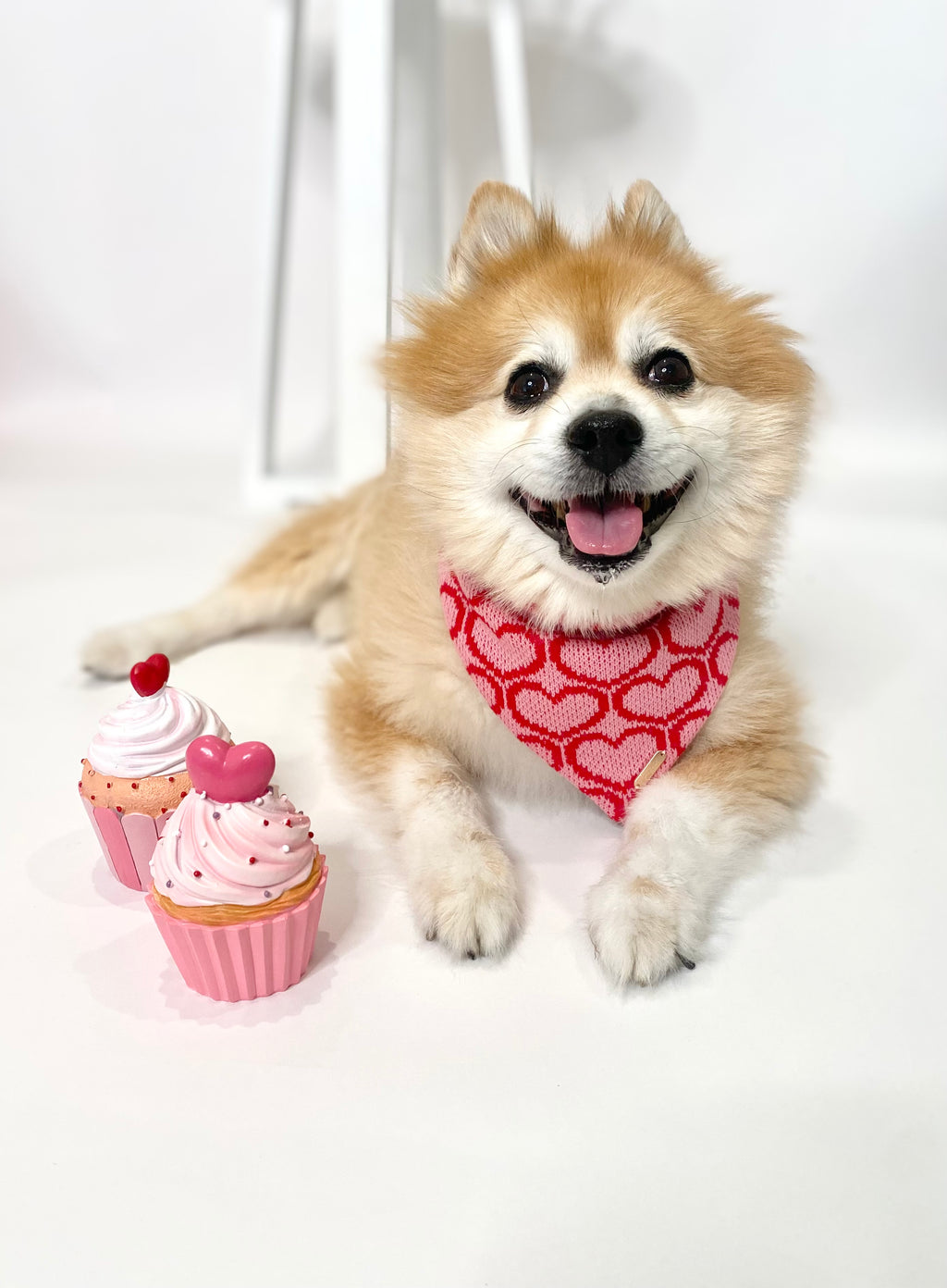 BANDANA | THINK PINK