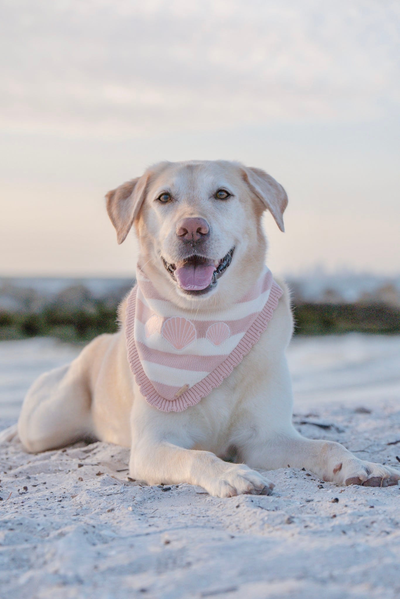 BANDANA | SEASIDE BLUSH