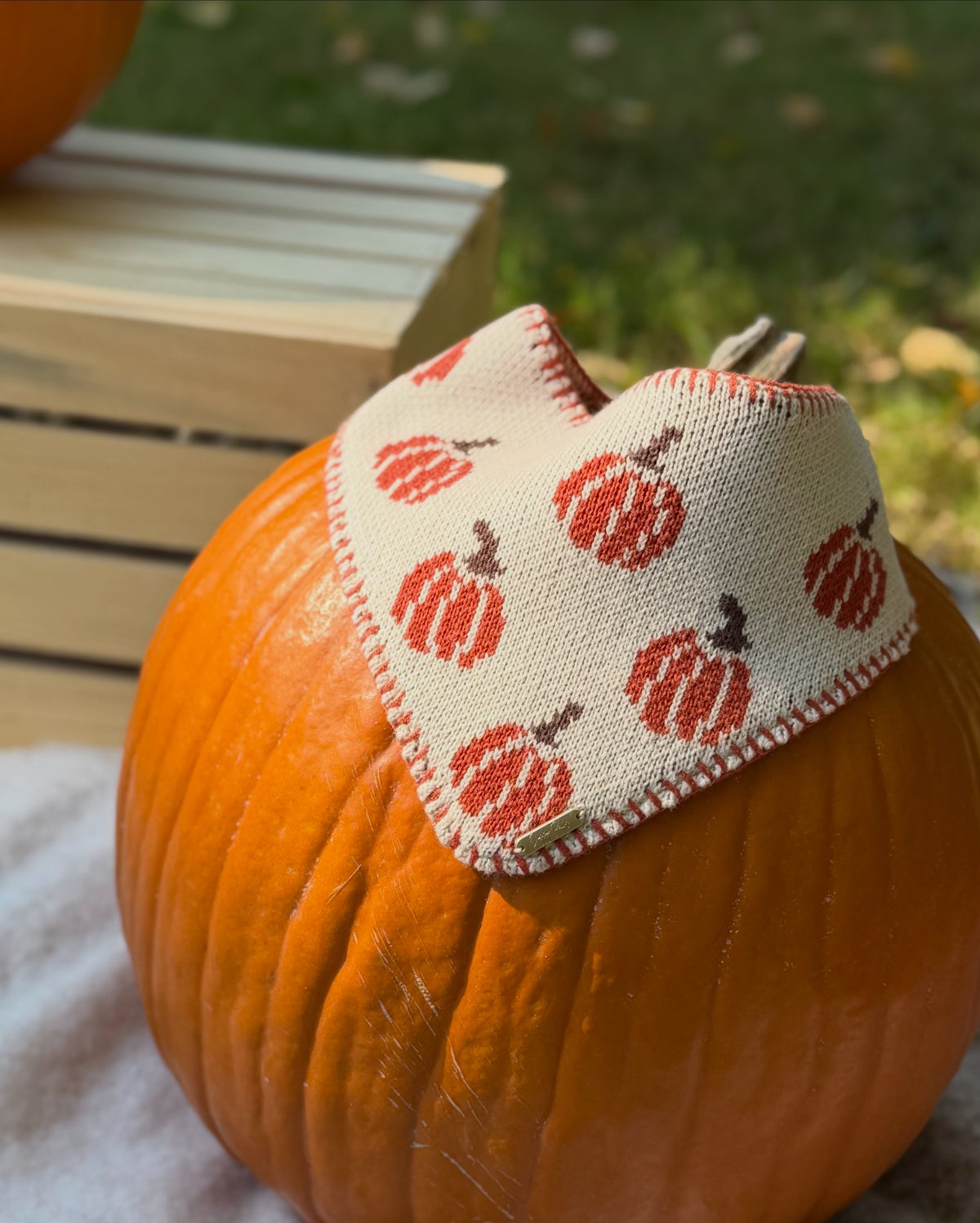 BANDANA | CLASSIC PUMPKIN