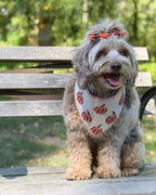 BANDANA | CLASSIC PUMPKIN