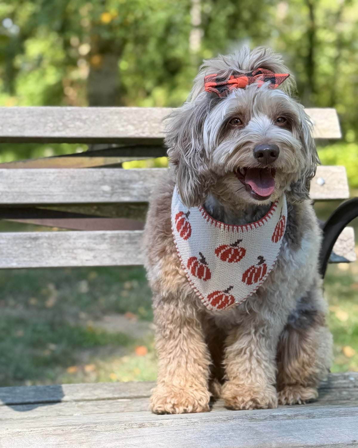 BANDANA | CLASSIC PUMPKIN
