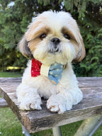 BOW TIE & SAILOR BOW | PATRIOTIC