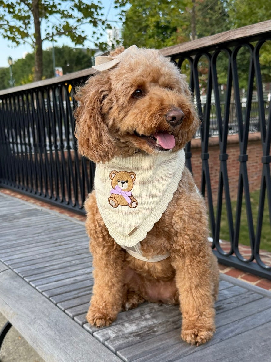 BANDANA | TEDDY WITH SCALLOPED HEM