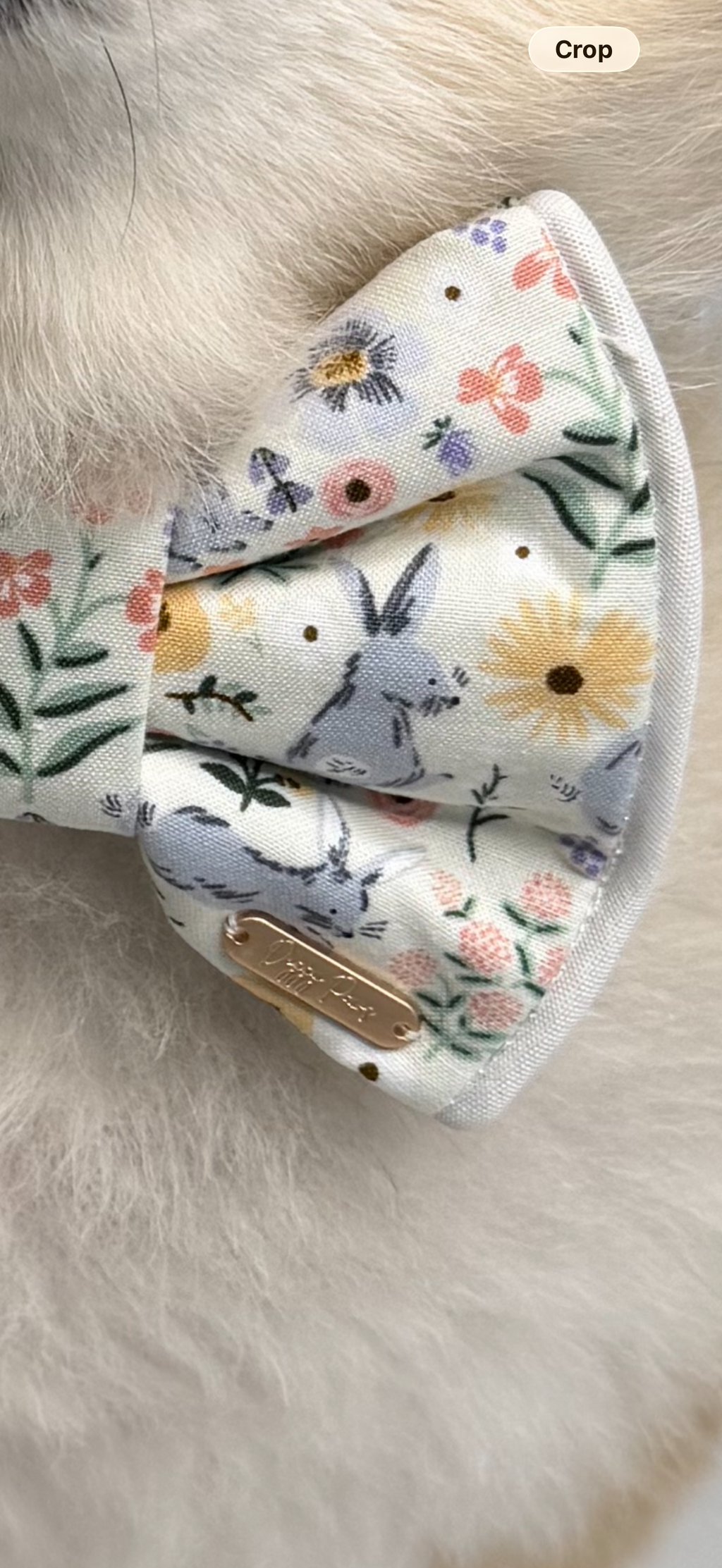 BOW TIE & SAILOR BOW | SPRING