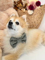 BOW TIE & SAILOR BOW | OLIVE POLKA DOT