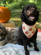 BANDANA | CLASSIC PUMPKIN