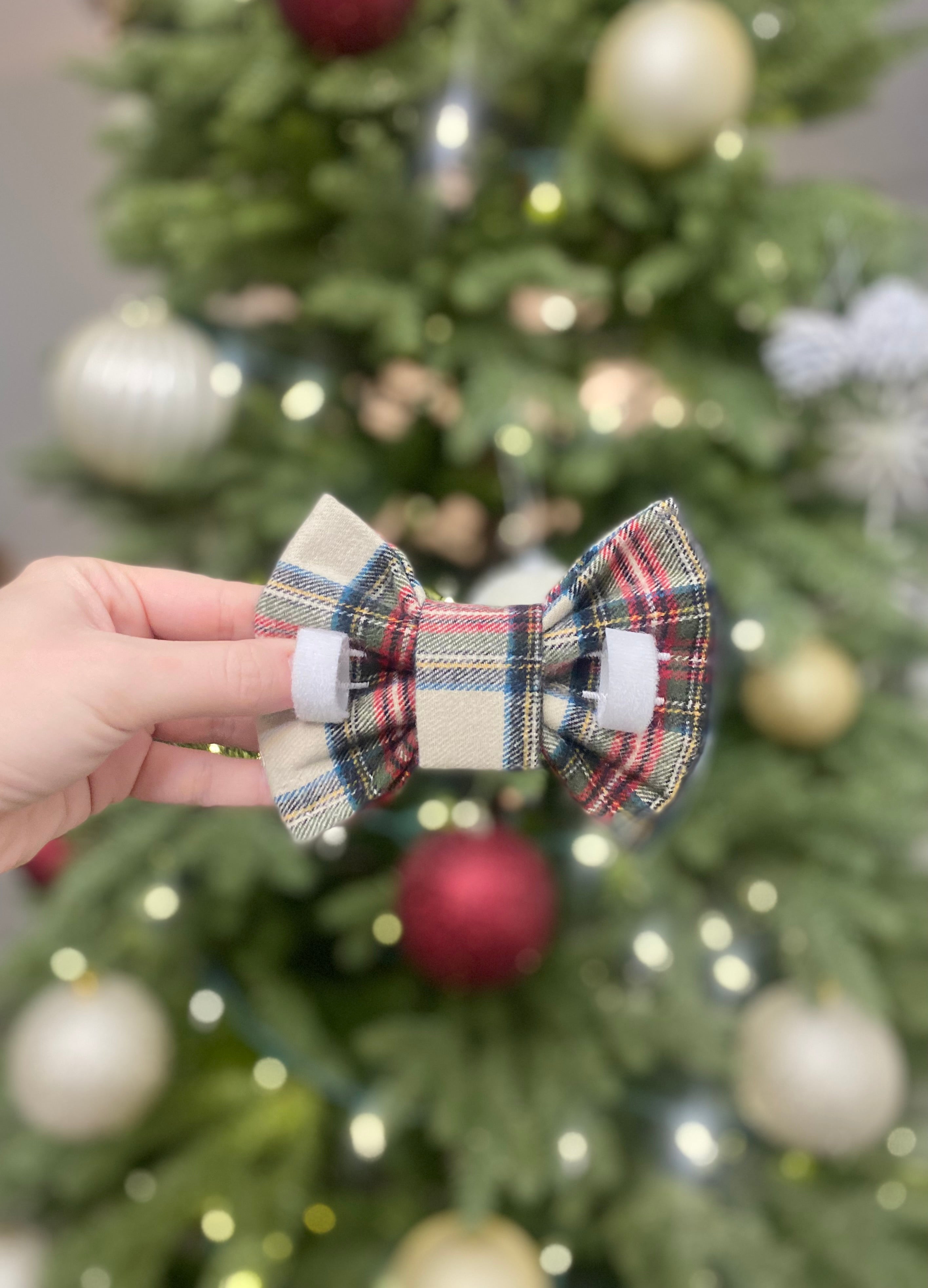 BOW TIE & SAILOR BOW | PLAID