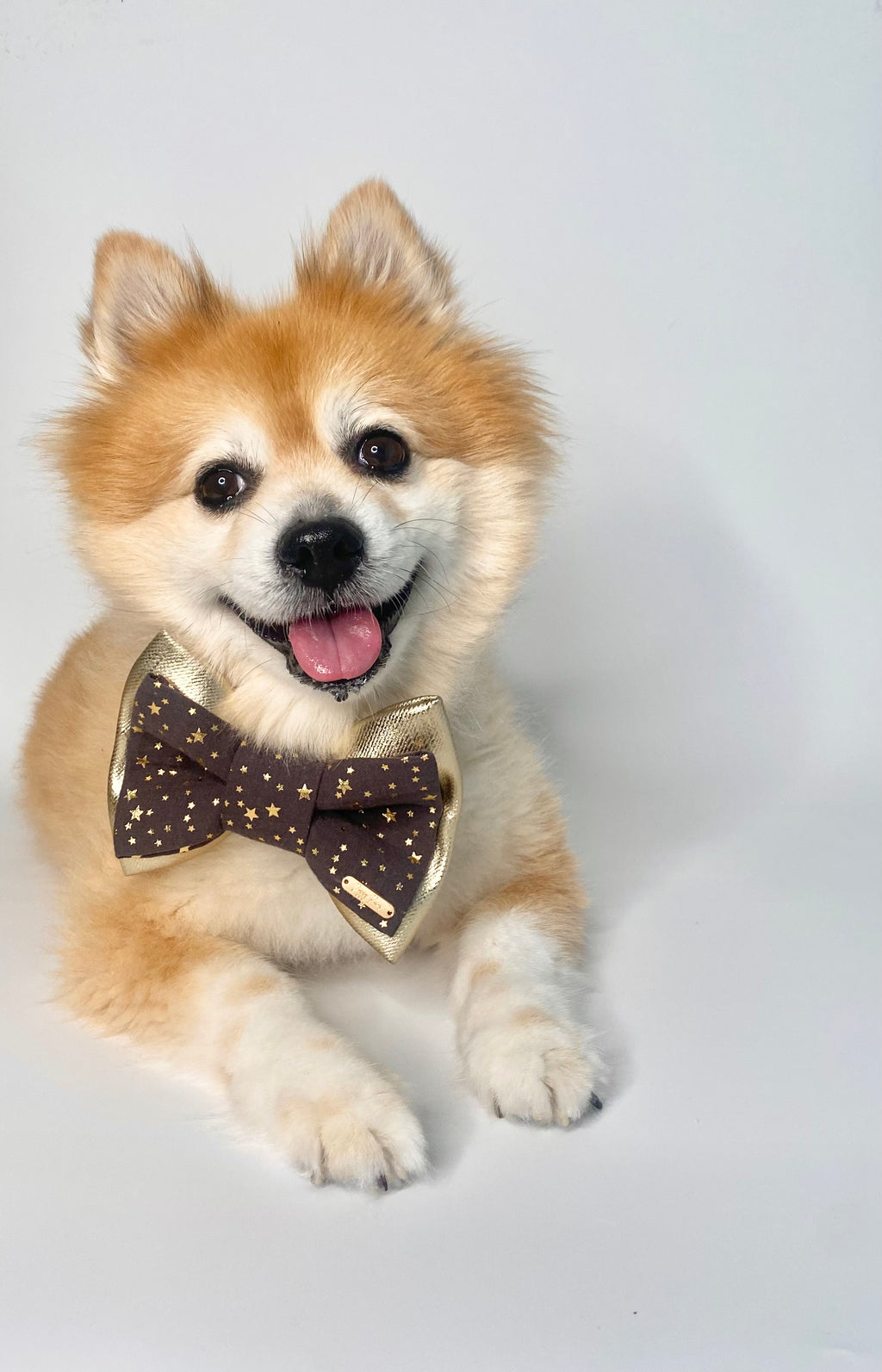 BOW TIE & SAILOR BOW | NYE