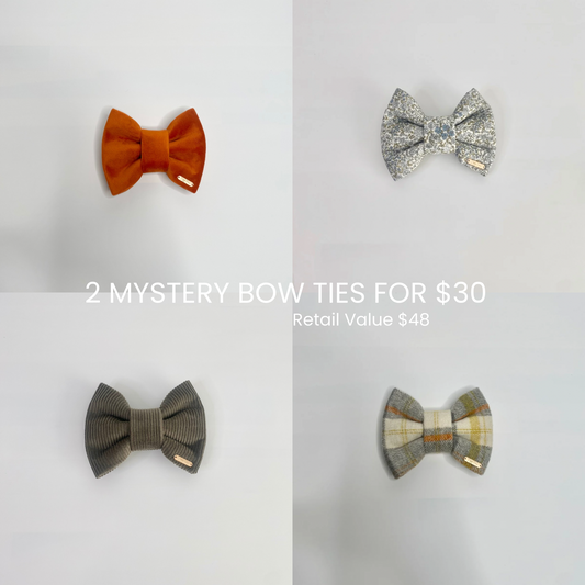 2 MYSTERY BOW TIES FOR $30