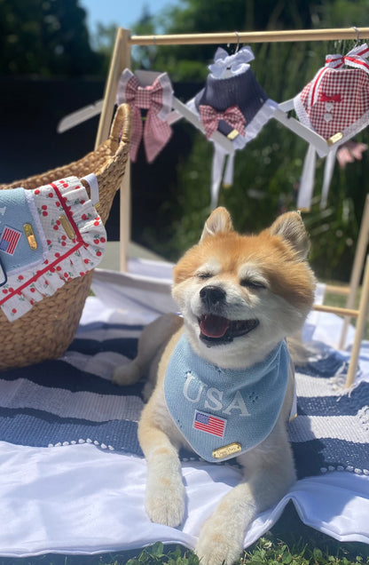 Party in the USA
